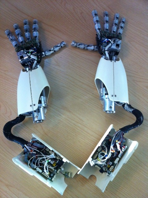 iCub's hands