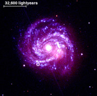 M100