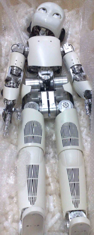 new iCub
